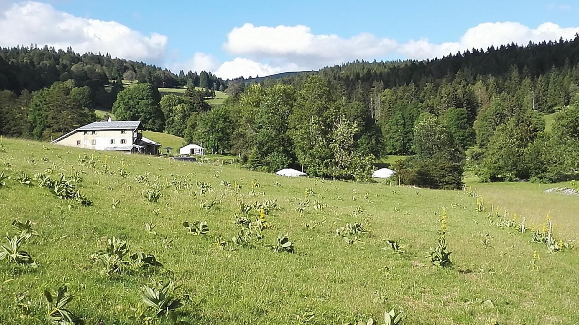La Petite Echelle Hotell Rochejean Exteriör bild